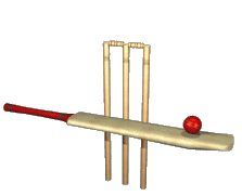 GIFs en Cricket