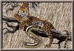 GIFs en Letras De Leopardos