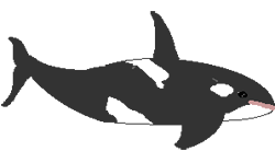 GIFs en Orcas