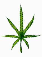 GIFs en Cannabis
