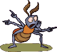 GIFs en Escarabajos