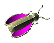 GIF animado (8226) Bicho con las alas color violeta
