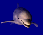 GIF animado (5780) Delfin
