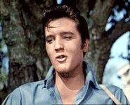 GIF animado (12006) Elvis aaron presley