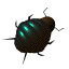 GIF animado (8273) Escarabajo verde