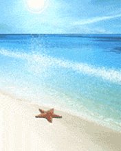 GIF animado (5818) Estrella mar