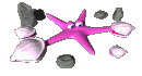 GIF animado (5825) Estrella mar almejas