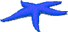 GIF animado (5827) Estrella mar azul