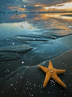GIF animado (5850) Estrella mar nevando