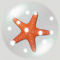 GIF animado (5851) Estrella mar nieve