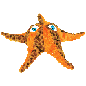 GIF animado (5852) Estrella mar ojos