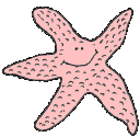 GIF animado (5856) Estrella mar rosa