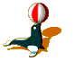 GIF animado (5885) Foca con una pelota