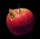 GIF animado (8100) Gusano en una manzana