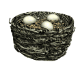GIF animado (7097) Huevos en el nido