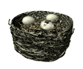 GIF animado (7098) Huevos en el nido