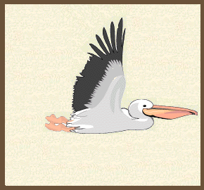 GIF animado (7299) Pelicano