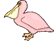 GIF animado (7301) Pelicano
