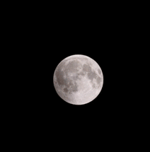 GIF animado (21098) Eclipse lunar
