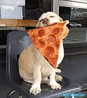 GIF animado (121508) La cara que pones cuando pides tu pizza favorita