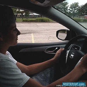 GIF animado (121529) El mejor asistente para cuando quieres estornudar y estas conduciendo