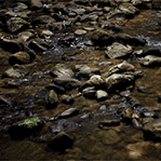 GIF animado (66395) Lecho fluvial