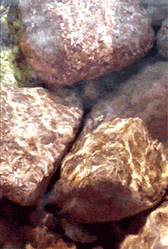 GIF animado (66397) Piedras rio