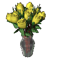 GIF animado (72983) Rosas amarillas floreciendo en un florero
