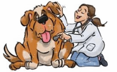 GIF animado (72741) Veterinaria perro