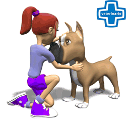 GIF animado (72743) Veterinaria perro