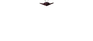 GIF animado (77760) Lockheed f nighthawk volando