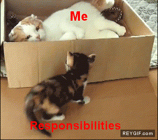 GIF animado (92669) Yo vs responsabilidades