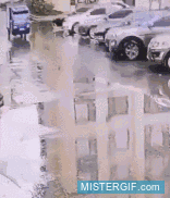 GIF animado (121495) Gente con un don innato para esquivar accidentes